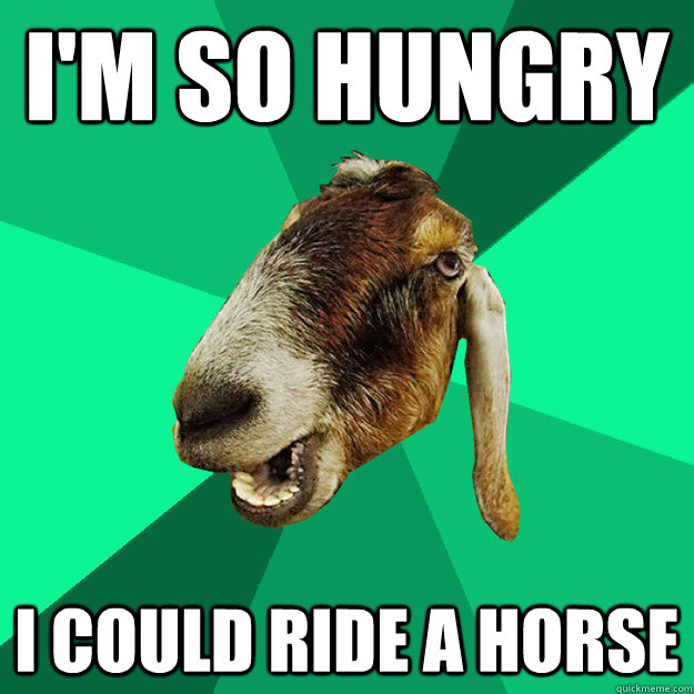 I'm so hungry I could ride a horse - I'm so hungry I could ride a horse  Incorrect Expression Goat