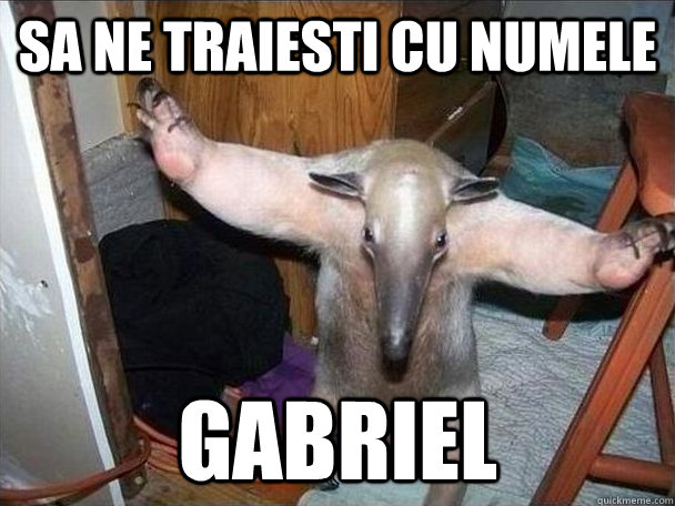 Sa ne traiesti cu numele Gabriel   I got this