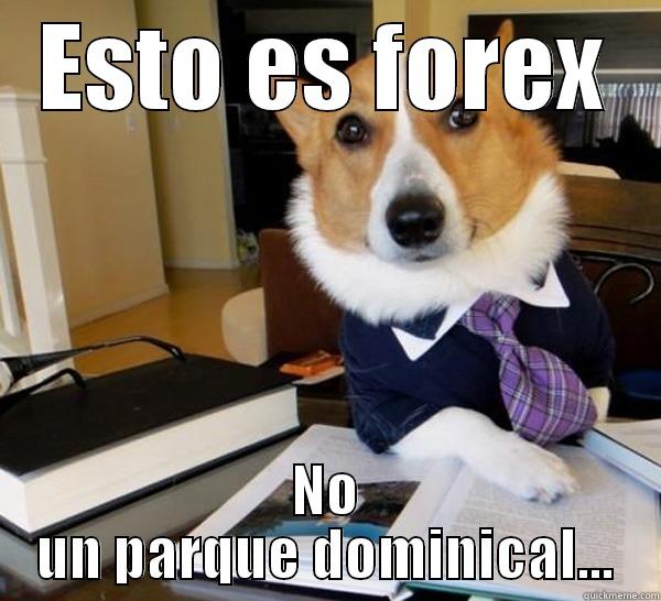 ESTO ES FOREX NO UN PARQUE DOMINICAL... Lawyer Dog
