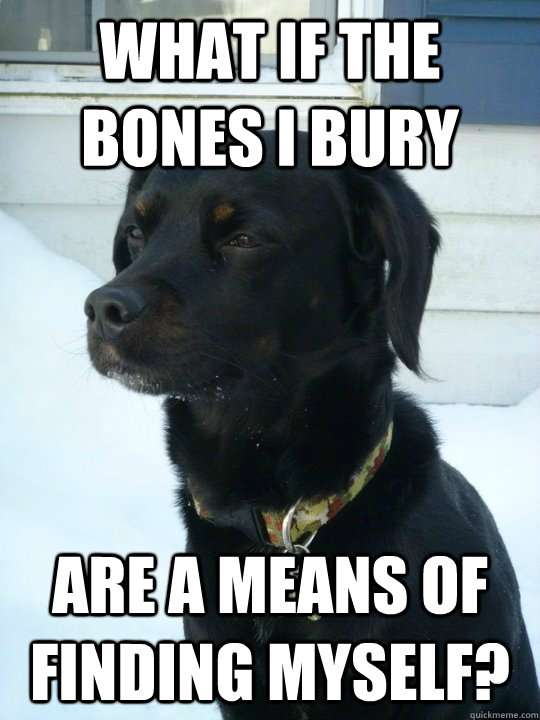 What if the bones I bury are a means of finding myself?  Philosophical Puppy