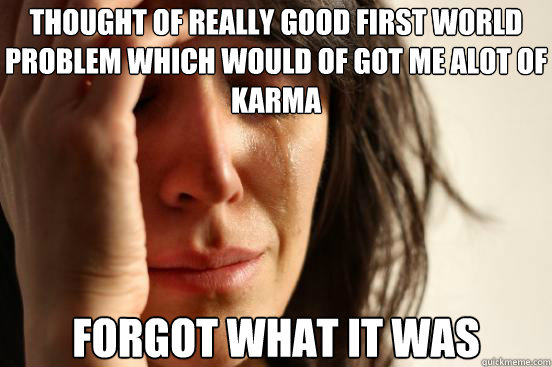 Thought of really good first world problem which would of got me alot of karma FORGOT what it was - Thought of really good first world problem which would of got me alot of karma FORGOT what it was  First World Problems
