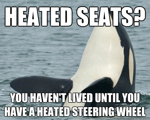 heated seats? you haven't lived until you have a heated steering wheel  One upping Orca
