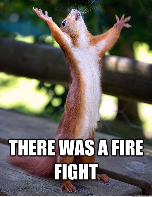 THERE WAS A FIRE FIGHT - THERE WAS A FIRE FIGHT  Hallelujah Squirrel