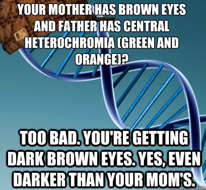 your Mother has brown eyes
and father has central heterochromia (green and orange)? too bad. You're getting dark brown eyes. Yes, Even darker than your mom's. - your Mother has brown eyes
and father has central heterochromia (green and orange)? too bad. You're getting dark brown eyes. Yes, Even darker than your mom's.  Scumbag DNA