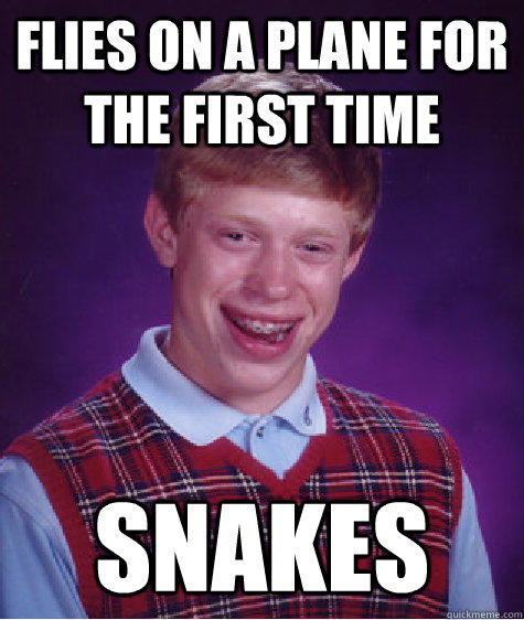 Flies on a plane for the first time SNAKES - Flies on a plane for the first time SNAKES  Bad Luck Brian