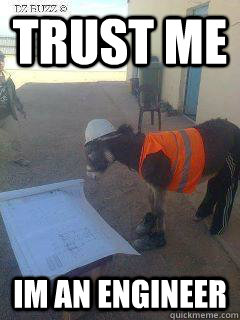 Trust me Im an engineer - Trust me Im an engineer  Engineering donkey