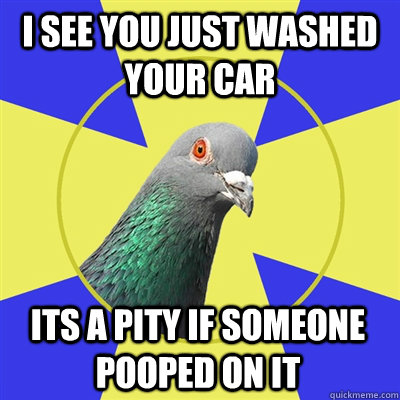 i see you just washed your car its a pity if someone pooped on it - i see you just washed your car its a pity if someone pooped on it  Religion Pigeon