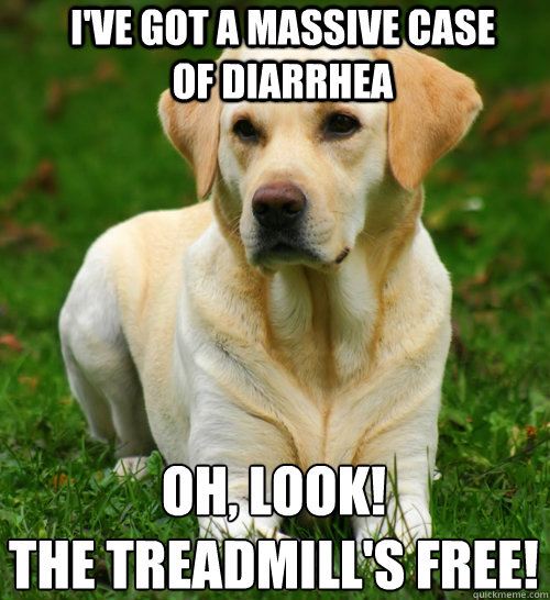 I've got a massive case of diarrhea Oh, look! 
The treadmill's free! - I've got a massive case of diarrhea Oh, look! 
The treadmill's free!  Dog Logic