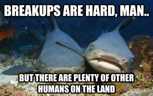 breakups are hard, man.. but there are plenty of other humans on the land  Compassionate Shark Friend