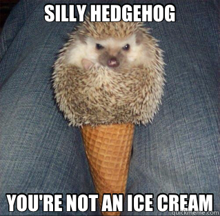 SILLY HEDGEHOG YOU'RE NOT AN ICE CREAM  