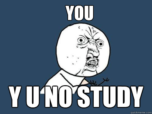you y u no study  Y U No