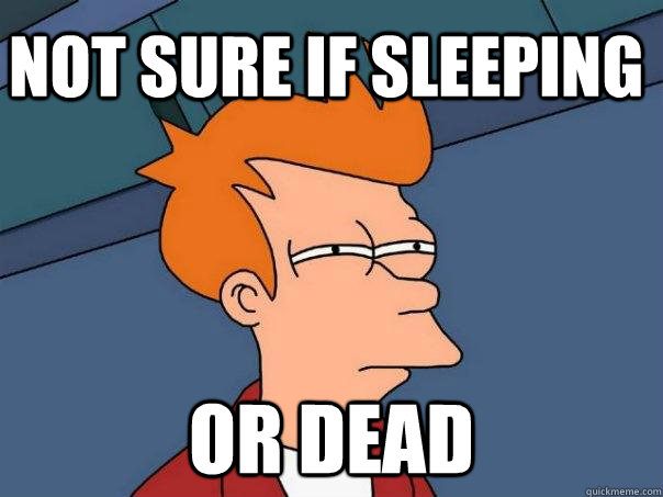 Not sure if sleeping Or dead  Futurama Fry