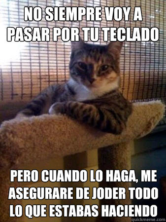 no siempre voy a pasar por tu teclado pero cuando lo haga, me asegurare de joder todo lo que estabas haciendo  The Most Interesting Cat in the World