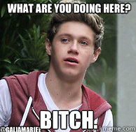 What are you doing here? Bitch. @galiamariee  Niall Horan Meme