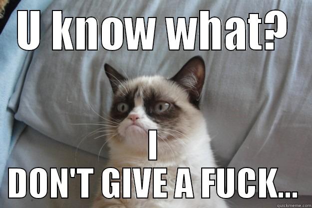 U KNOW WHAT? I DON'T GIVE A FUCK... Grumpy Cat