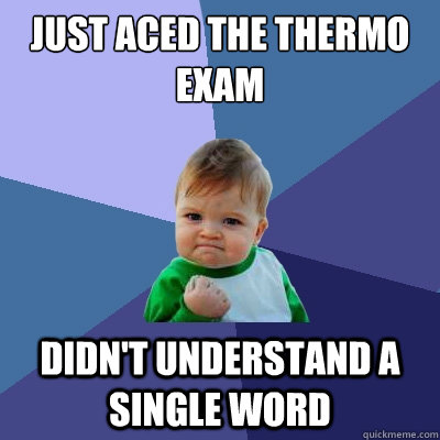Just aced the thermo exam Didn't understand a single word  Success Kid