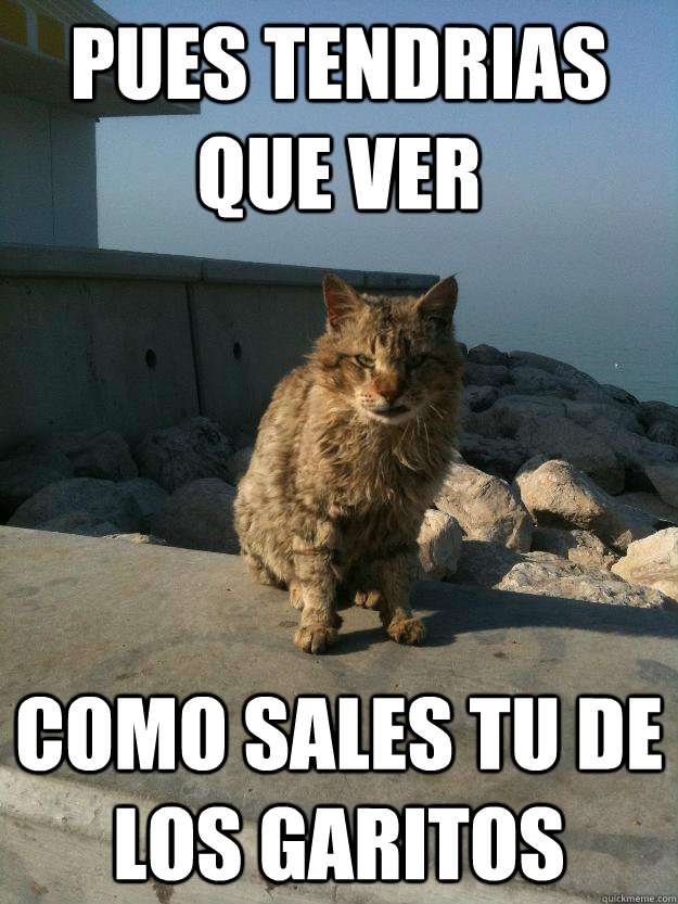pues tendrias que ver como sales tu de los garitos  Bitter Cat
