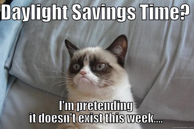 DAYLIGHT SAVINGS TIME?  I'M PRETENDING IT DOESN'T EXIST THIS WEEK.... Grumpy Cat