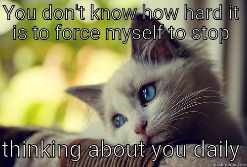 YOU DON'T KNOW HOW HARD IT IS TO FORCE MYSELF TO STOP  THINKING ABOUT YOU DAILY First World Problems Cat