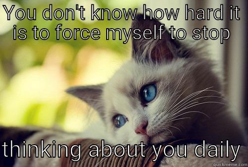 Cute not funny - YOU DON'T KNOW HOW HARD IT IS TO FORCE MYSELF TO STOP  THINKING ABOUT YOU DAILY First World Problems Cat