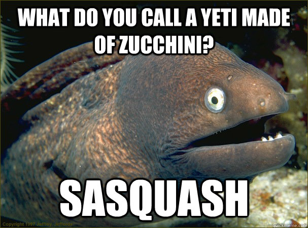 What do you call a yeti made of zucchini? Sasquash  Bad Joke Eel