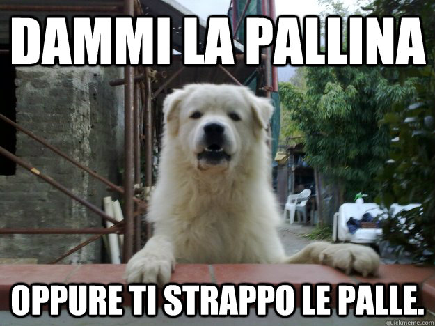 Dammi la pallina Oppure ti strappo le palle.  