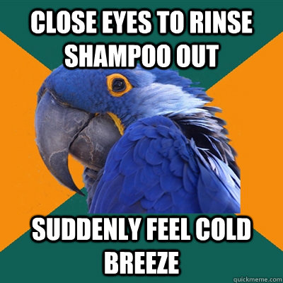close eyes to rinse shampoo out suddenly feel cold breeze  Paranoid Parrot