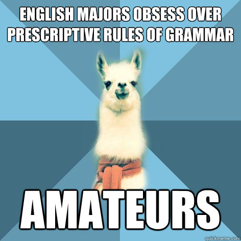 English majors obsess over prescriptive rules of grammar Amateurs - English majors obsess over prescriptive rules of grammar Amateurs  Linguist Llama