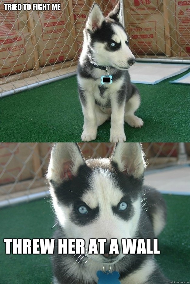 Tried to fight me Threw her at a wall  Insanity puppy