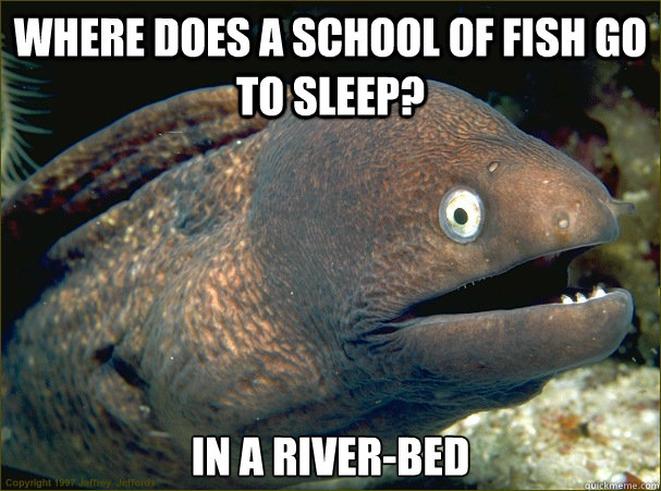 Where does a school of fish go to sleep? in a river-bed - Where does a school of fish go to sleep? in a river-bed  Bad Joke Eel
