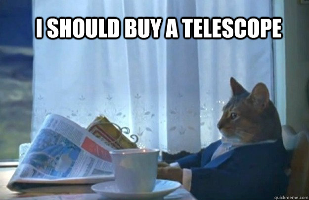 I should buy a telescope  Sophisticated Cat