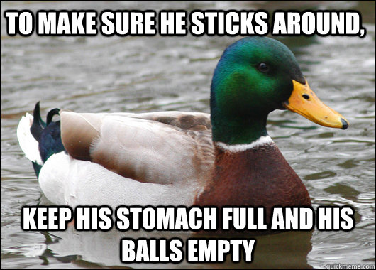 To make sure he sticks around, keep his stomach full and his balls empty  Actual Advice Mallard