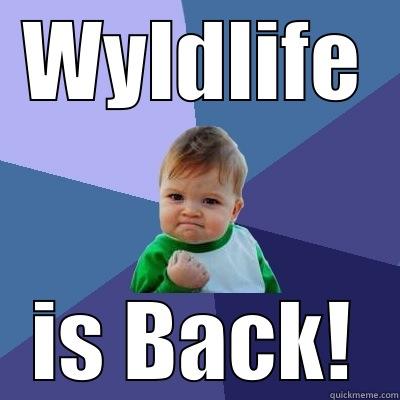 WYLDLIFE IS BACK! Success Kid