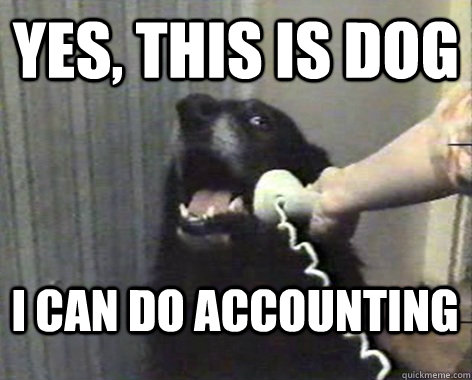 Yes, this is dog i can do accounting - Yes, this is dog i can do accounting  yes this is dog