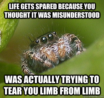 life gets spared because you thought it was misunderstood was actually trying to tear you limb from limb - life gets spared because you thought it was misunderstood was actually trying to tear you limb from limb  Misunderstood Spider