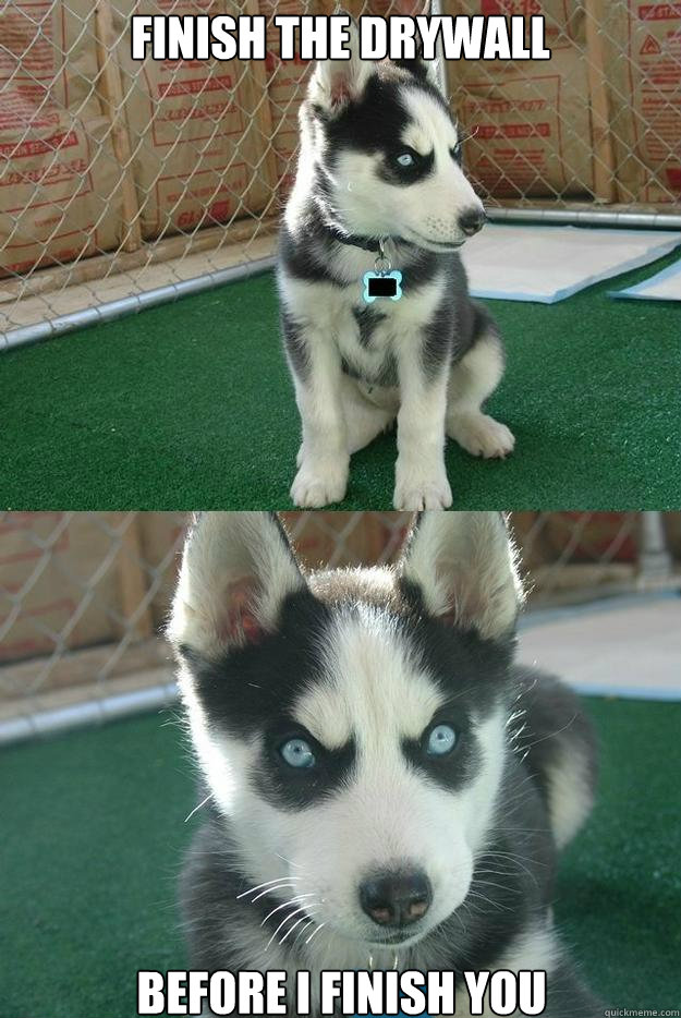 Finish the Drywall before I finish you  Insanity puppy