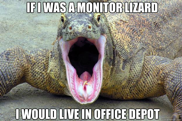 If i was a monitor lizard I would live in office depot - If i was a monitor lizard I would live in office depot  Office lizard