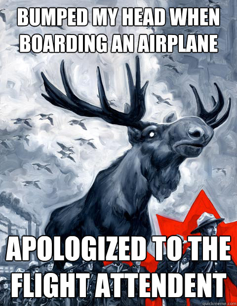 Bumped my head when boarding an airplane Apologized to the flight attendent - Bumped my head when boarding an airplane Apologized to the flight attendent  Canada Day