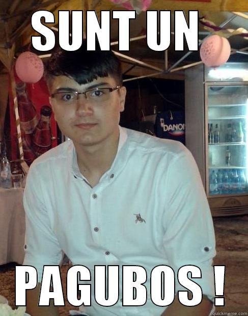 SUNT UN  PAGUBOS ! Misc