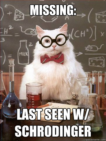 Missing: Last seen w/ 
Schrodinger  Science Cat