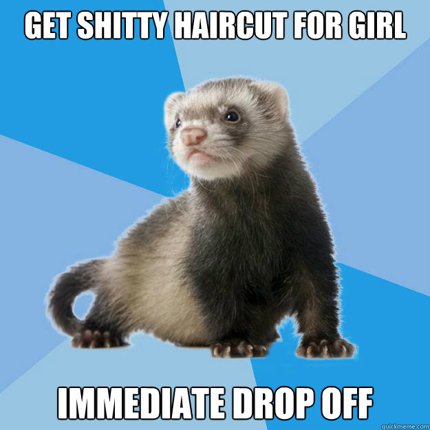 Get shitty haircut for girl immediate drop off - Get shitty haircut for girl immediate drop off  Friend Zone Ferret