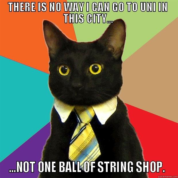 student cat - THERE IS NO WAY I CAN GO TO UNI IN THIS CITY... ...NOT ONE BALL OF STRING SHOP.  Business Cat
