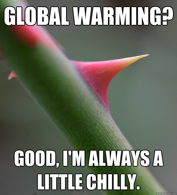 global warming? Good, I'm always a little chilly.  Self Important Prick