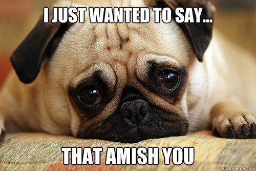 I Just Wanted To Say... That Amish You  sad pug