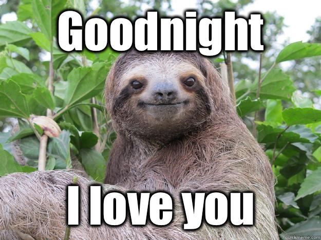 Goodnight  I love you  Stoned Sloth