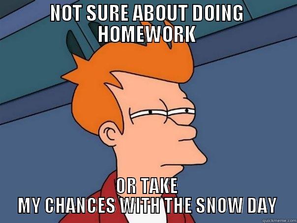 snow day problem #2 - NOT SURE ABOUT DOING HOMEWORK OR TAKE MY CHANCES WITH THE SNOW DAY Futurama Fry