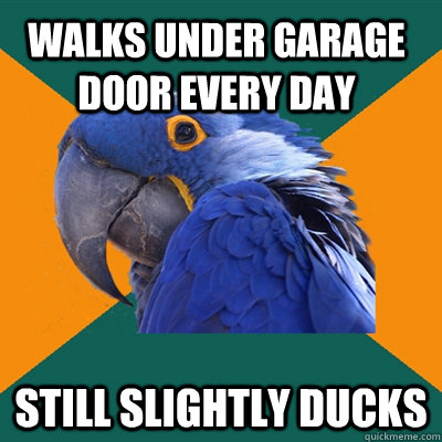 Walks under garage door every day Still slightly ducks  Paranoid Parrot