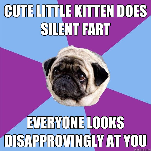 Cute little kitten does silent fart Everyone looks disapprovingly at you - Cute little kitten does silent fart Everyone looks disapprovingly at you  Lonely Pug