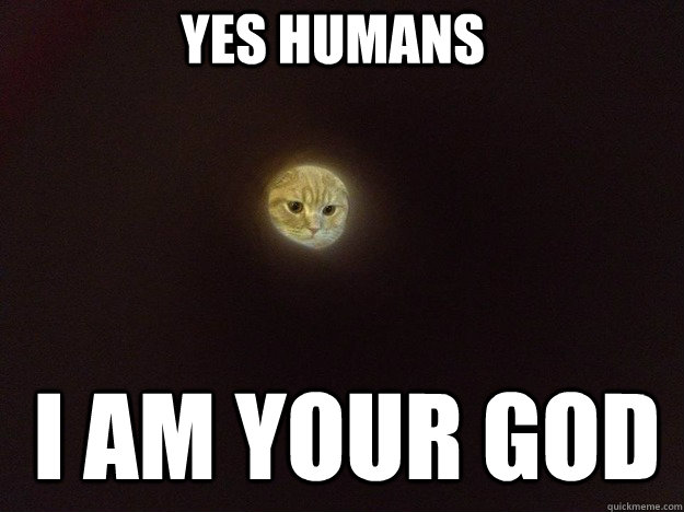 Yes humans I Am your god  