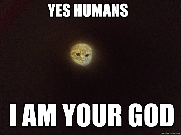 Yes humans I Am your god  Moon Cat